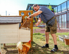 Ein Mann füttert ein Huhn vor einem Hühnerstall im Freien. Er beugt sich zum Stall hinunter und streut Futter aus, während ein Huhn daneben steht.