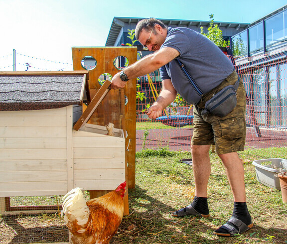 Ein Mann füttert ein Huhn vor einem Hühnerstall im Freien. Er beugt sich zum Stall hinunter und streut Futter aus, während ein Huhn daneben steht.