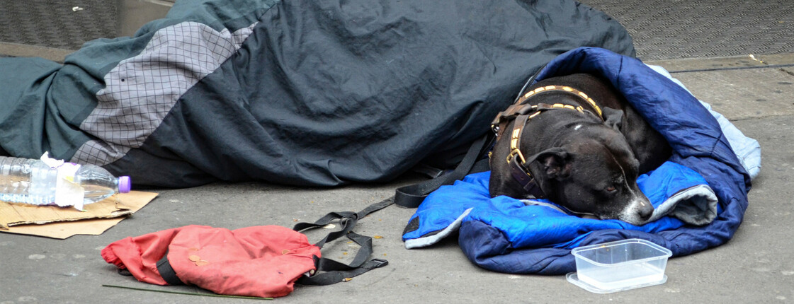 Ein obdachloser Mensch liegt unter einem Schlafsack auf der Straße, daneben ein Hund in einer Decke und eine Plastikschale mit etwas Wasser.